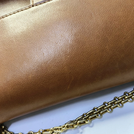 Chanel Nude Medallion 2.55 Reissue Brown Calfskin Double Flap Bag Gold Chain 2017