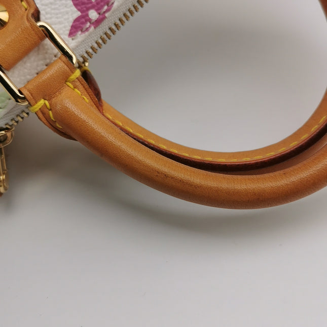 Louis Vuitton x Takashi Murakami Speedy Nano Boston Top Handle Bag
