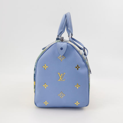 Louis Vuitton x Jeff Koons Speedy 30 Van Gogh Top Handle Bag