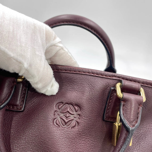 Loewe Amazona 28 in Burgundy Calfskin Leather and Gold-tone Hardware