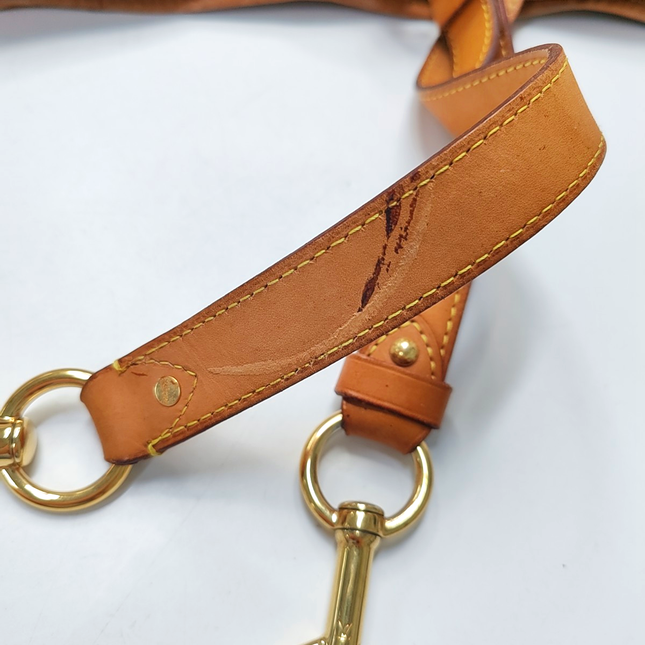 Louis Vuitton x Takashi Murakami Néonoé Medium Black Multicolor