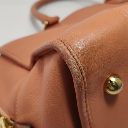 Loewe Amazona Medium 36 Light Coral Leather With Strap Goat Animal Lock