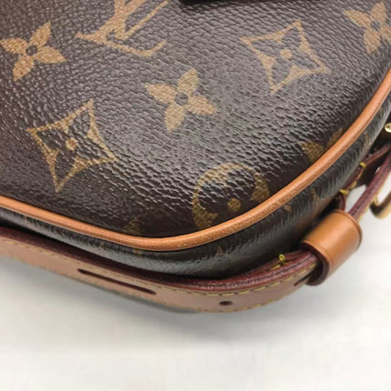 Louis Vuitton Boîte Chapeau Souple Leather MM Crossbody Bag