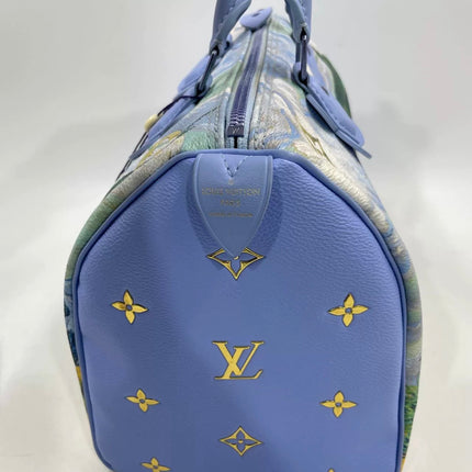 Louis Vuitton x Jeff Koons Speedy 30 Van Gogh Top Handle Bag