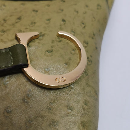Dior Vintage Double Saddle Green Ostrich Leather Gold Hardware