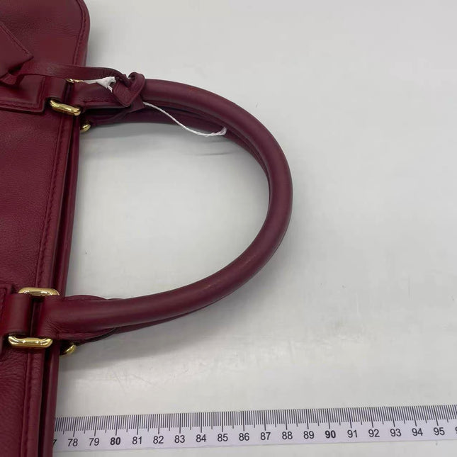 Loewe Amazona 36 Medium Burgundy Leather Dragon Lock Gold-tone Hardware