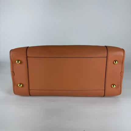 Loewe Amazona Medium 36 Light Coral Leather With Strap Goat Animal Lock