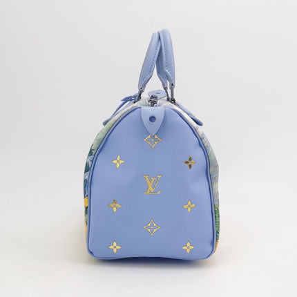 Louis Vuitton x Jeff Koons Speedy 30 Van Gogh Top Handle Bag
