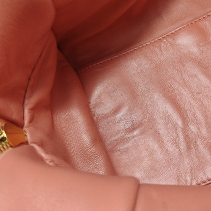 Loewe Amazona Medium 36 Light Coral Leather With Strap Goat Animal Lock