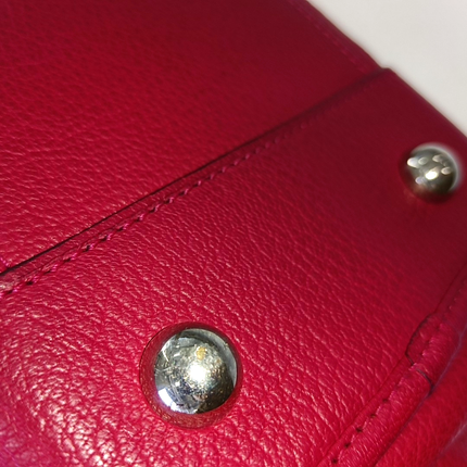 Sold Loewe Amazona 36 Large in Red Leather and Silver tone Hardware