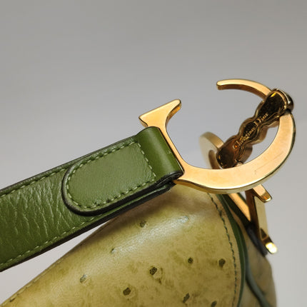Dior Vintage Double Saddle Green Ostrich Leather Gold Hardware