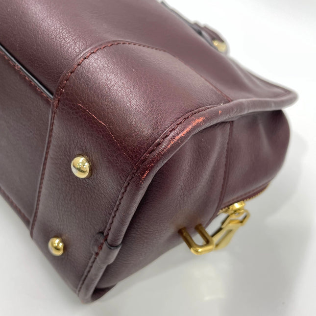 Loewe Amazona 28 in Burgundy Calfskin Leather and Gold-tone Hardware