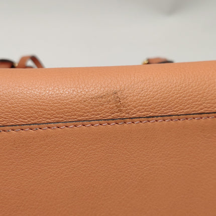 Loewe Amazona Medium 36 Light Coral Leather With Strap Goat Animal Lock