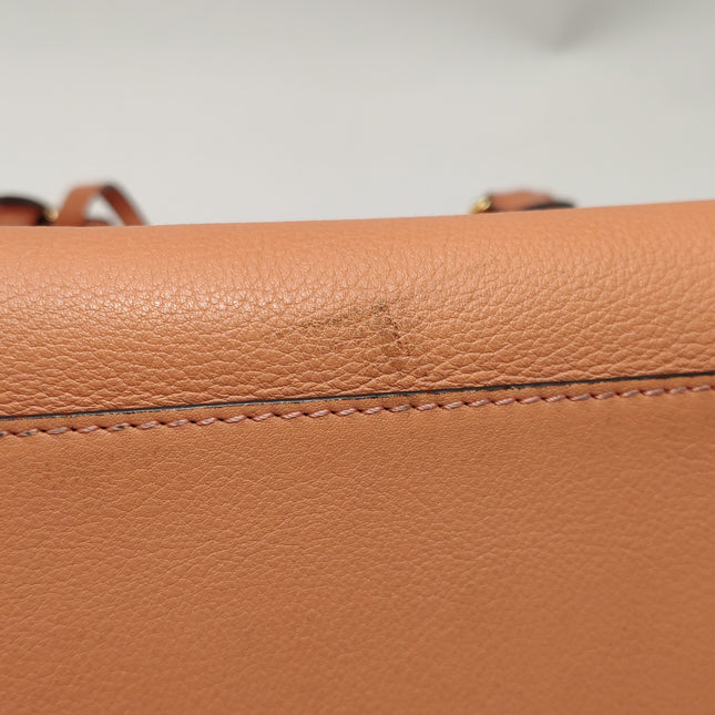 Loewe Amazona Medium 36 Light Coral Leather With Strap Goat Animal Lock