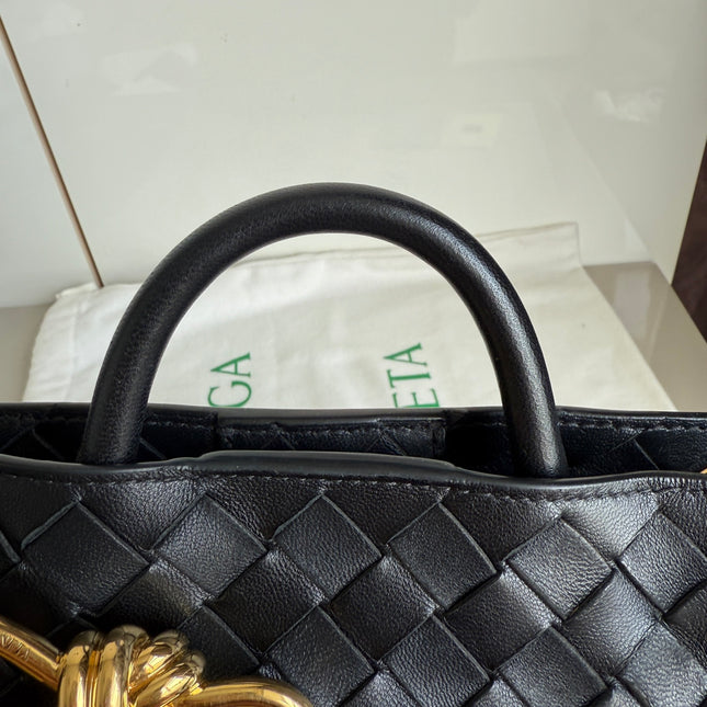 Bottega Veneta Small Andiamo Black Intrecciato Handbag 2023