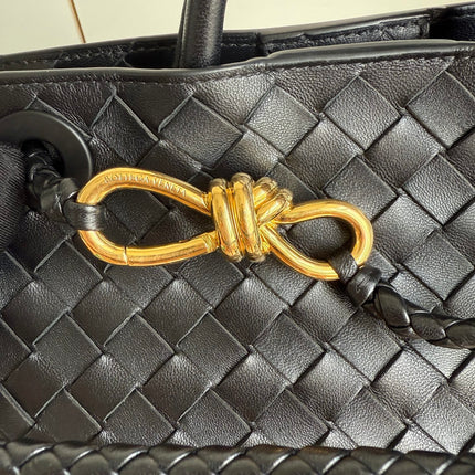 Bottega Veneta Small Andiamo Black Intrecciato Handbag 2023