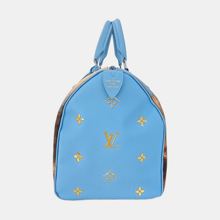 Louis Vuitton x Jeff Koons Speedy 30 Turner Top Handle Bag