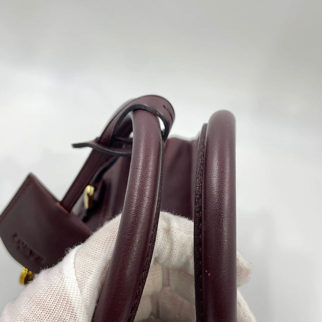 Loewe Amazona 28 in Burgundy Calfskin Leather and Gold-tone Hardware