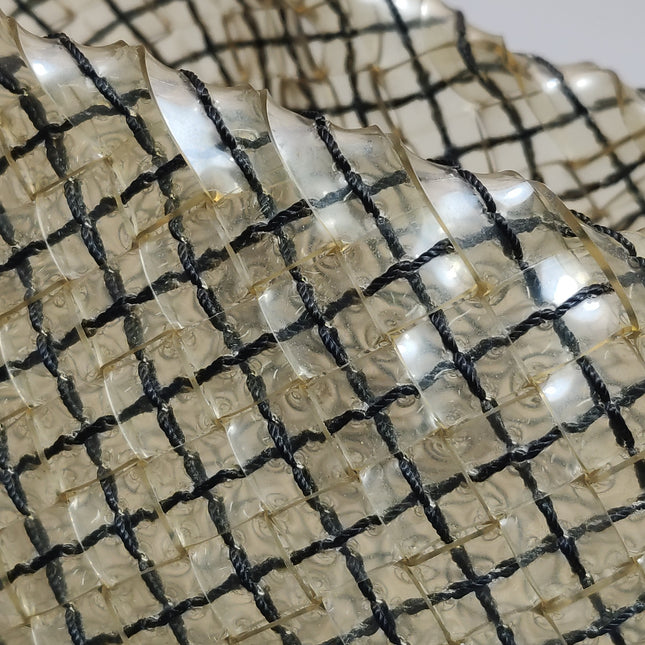 Bottega Veneta Cabat Large Intreccio Transparent Leather and PVC Tote Bag