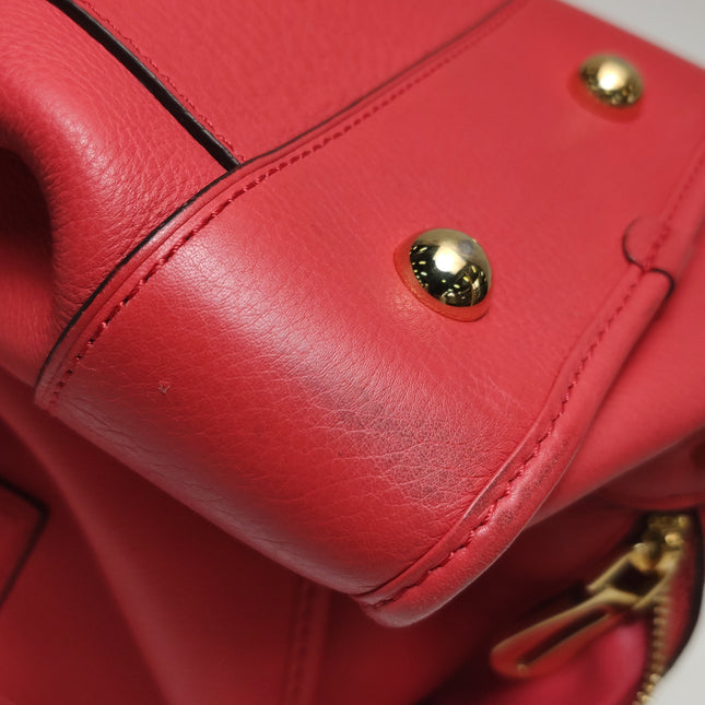 Loewe Amazona 36 Medium Red Leather Snail Lock Gold-tone Hardware