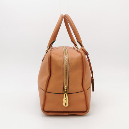 Loewe Amazona Medium 36 Light Coral Leather With Strap Goat Animal Lock