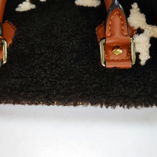 Louis Vuitton Speedy Bandouliere 25 Teddy Shearling Giant Monogram Crossbody Bag