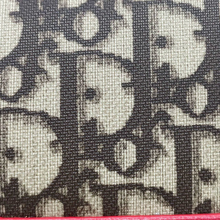 Dior No. 2 Rasta Trotter Camera Bag Beige Monogram Red Yellow Green Web Strap