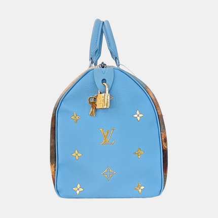 Louis Vuitton x Jeff Koons Speedy 30 Turner Top Handle Bag