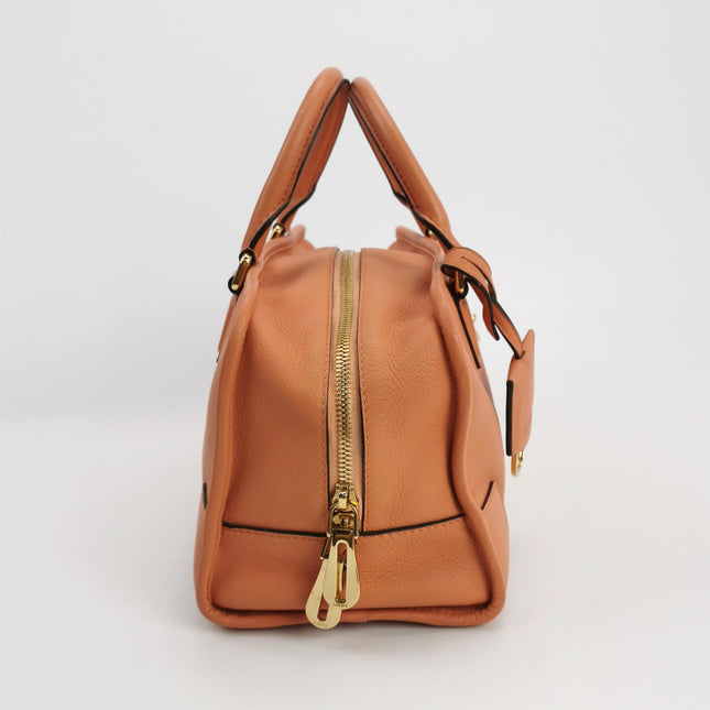 Loewe Amazona 28 in Orange Leather Goat Special Edition
