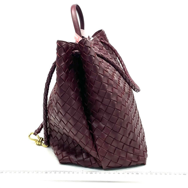 Bottega Veneta Andiamo Large Burgundy Handbag