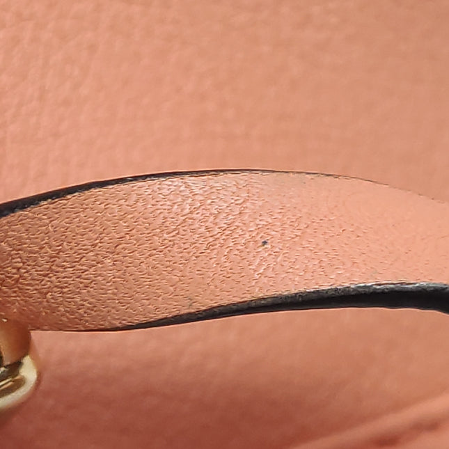 Loewe Amazona 28 in Orange Leather Goat Special Edition