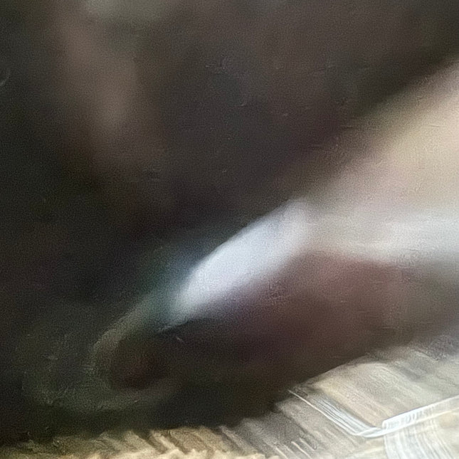 Fendi Mamma Baguette Blue White Flower Embossed Shoulder Bag