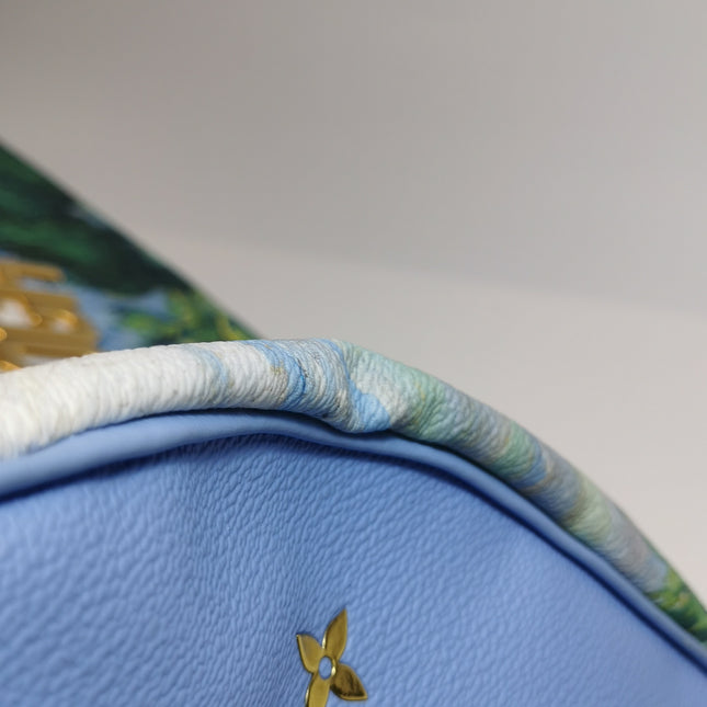 Louis Vuitton x Jeff Koons Speedy 30 Van Gogh Top Handle Bag