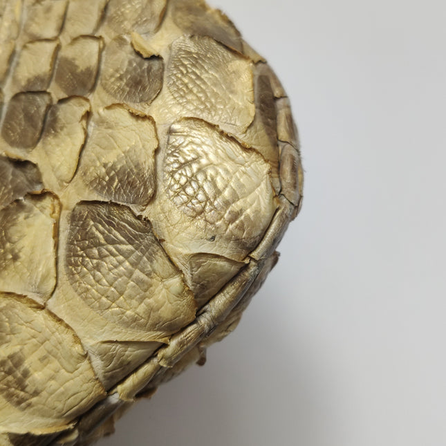 Gucci Jackie Vintage Camel Python Leather Rare