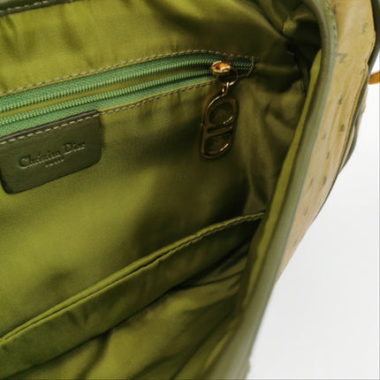 Dior Vintage Double Saddle Green Ostrich Leather Gold Hardware