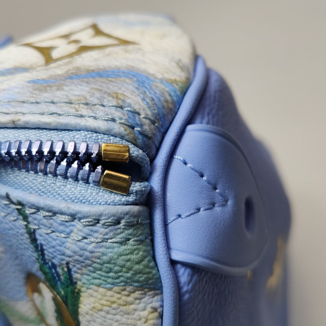 Louis Vuitton x Jeff Koons Speedy 30 Van Gogh Top Handle Bag