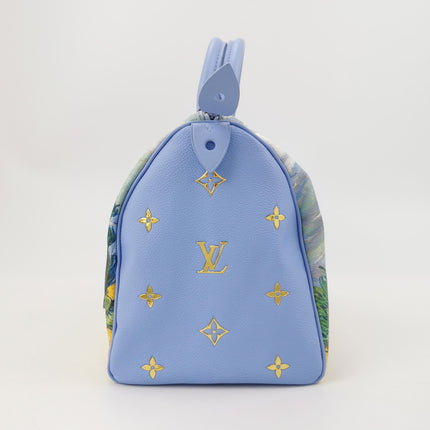 Louis Vuitton x Jeff Koons Speedy 30 Van Gogh Top Handle Bag