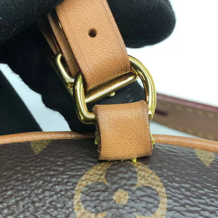 Louis Vuitton Boîte Chapeau Souple Leather MM Crossbody Bag