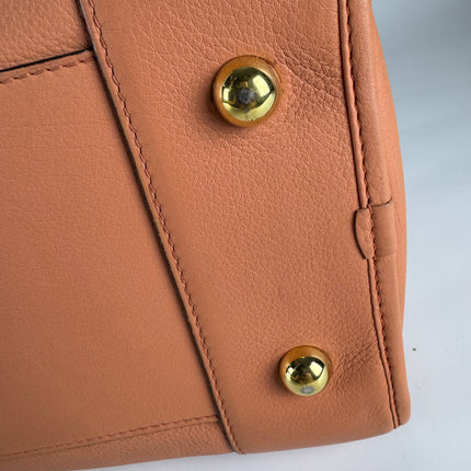 Loewe Amazona Medium 36 Light Coral Leather With Strap Goat Animal Lock