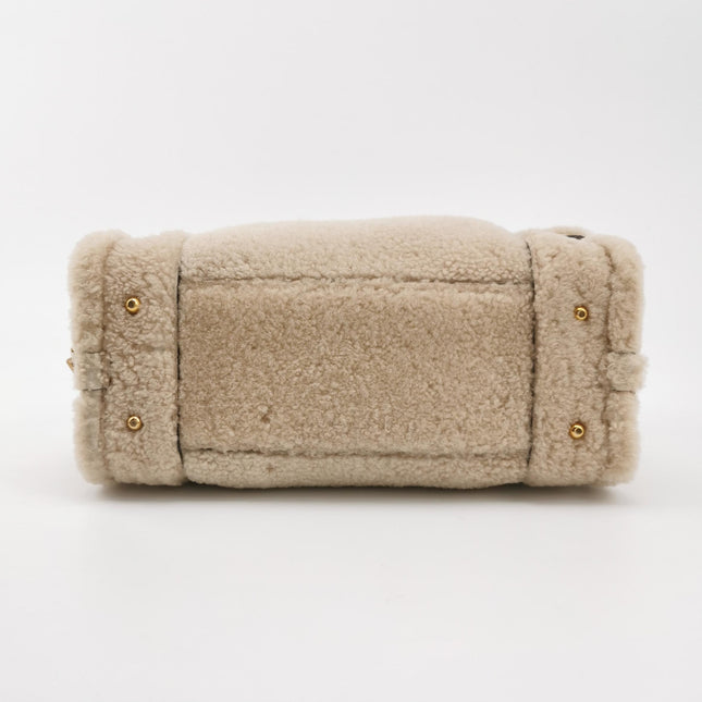 Loewe Amazona Small 29 White Shearling Gold Hardware Top Handle Bag