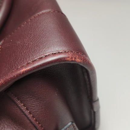 Loewe Amazona 28 in Burgundy Calfskin Leather and Gold-tone Hardware