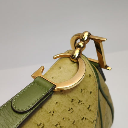 Dior Vintage Double Saddle Green Ostrich Leather Gold Hardware