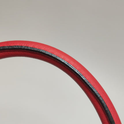 Loewe Amazona 36 Medium Red Leather Snail Lock Gold-tone Hardware