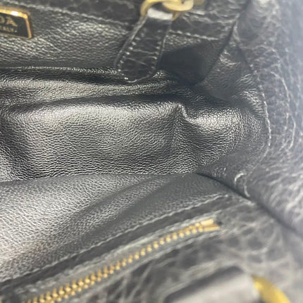 Prada Zebra Print Ponyhair Calfskin Leather Handbag