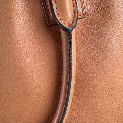 Loewe Amazona Medium 36 Light Coral Leather With Strap Goat Animal Lock