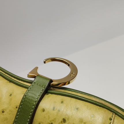 Dior Vintage Double Saddle Green Ostrich Leather Gold Hardware