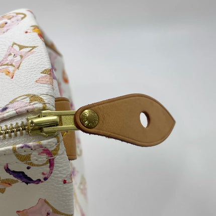 Louis Vuitton Speedy 35 Monogram Watercolor Pink Handbag Richard Prince 2008