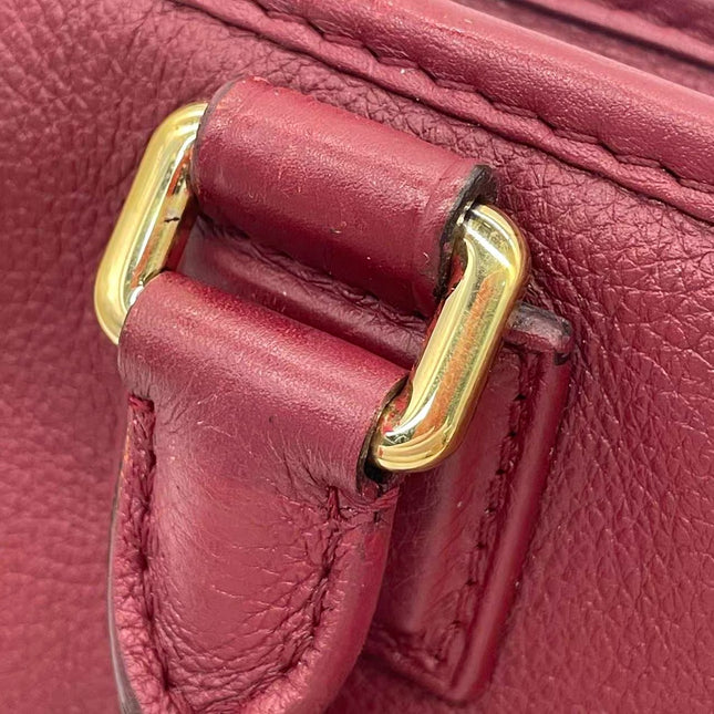Loewe Amazona 36 Medium Burgundy Leather Dragon Lock Gold-tone Hardware