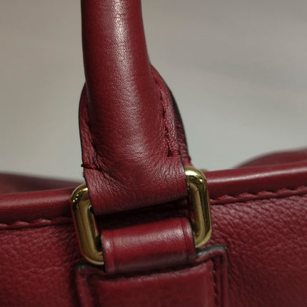 Loewe Amazona 36 Medium Burgundy Leather Dragon Lock Gold-tone Hardware
