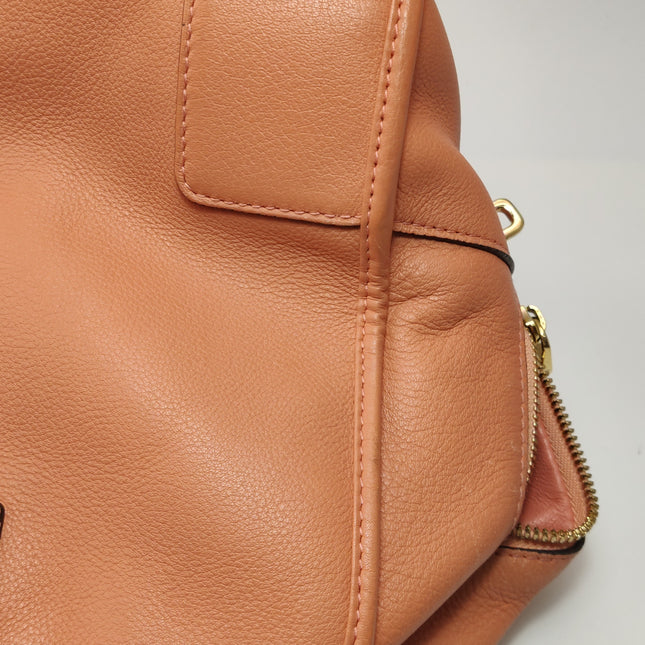 Loewe Amazona Medium 36 Light Coral Leather With Strap Goat Animal Lock